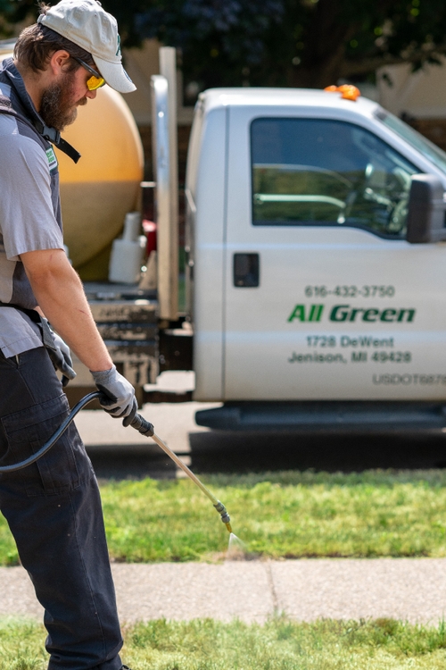 All Green Lawn Care Fertilizer, Pest Control & Tree Care